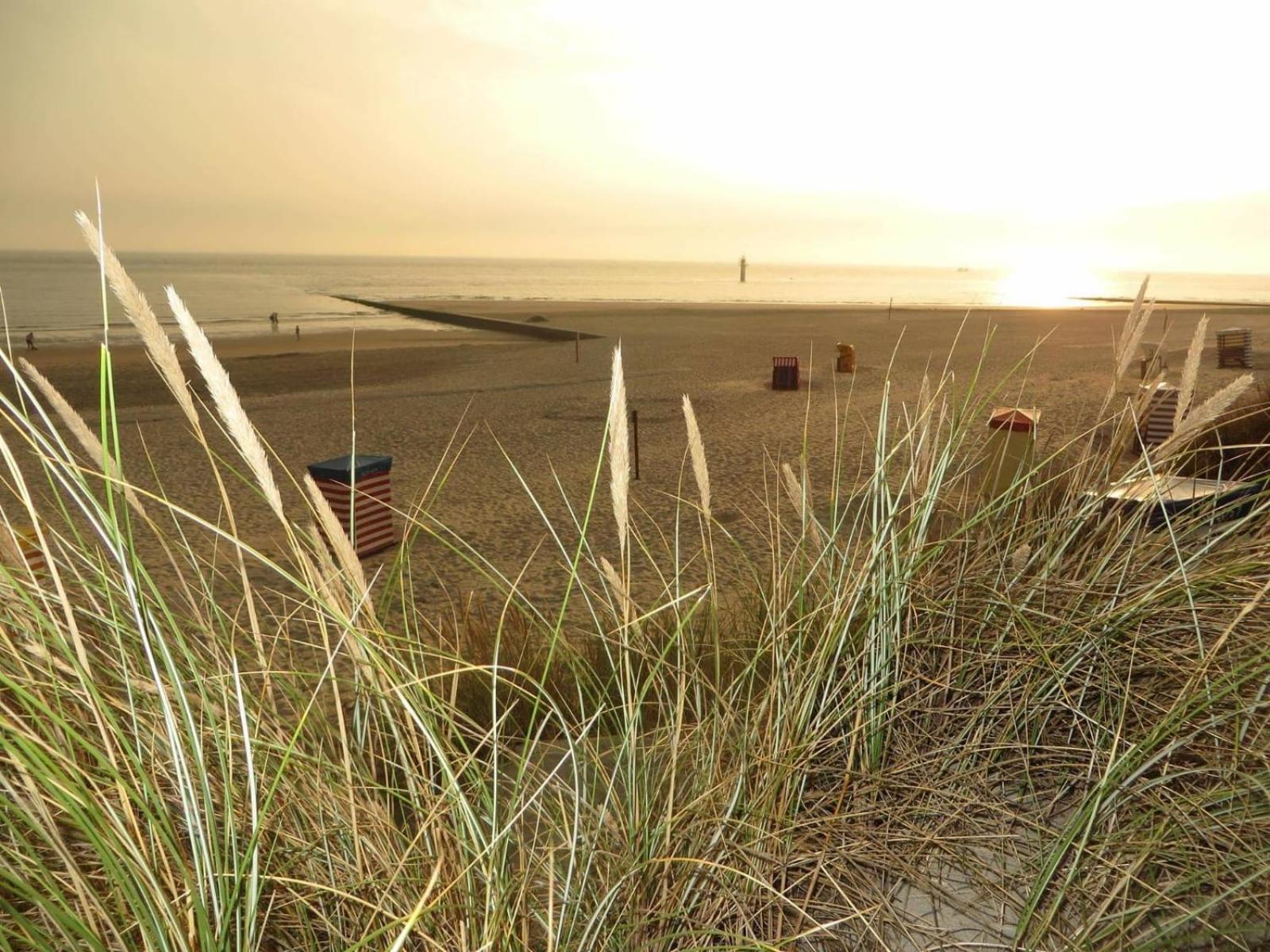 Villa Daheim Borkum Bagian luar foto